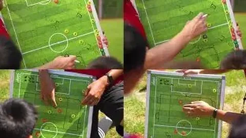 WCBA分组后赛况精彩度增长40%。