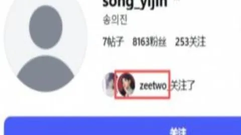 奥运羽毛球金牌直播带货引争议：自由派坚持不妥协入体制